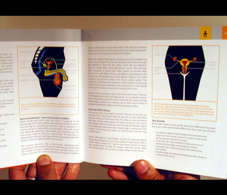 Portfolio image 1_4