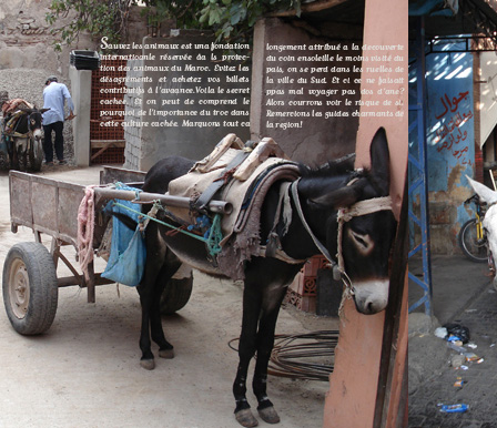 Portfolio image 9_4